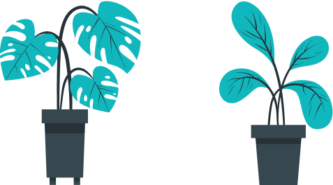Imagem decorativa com vasos de planta